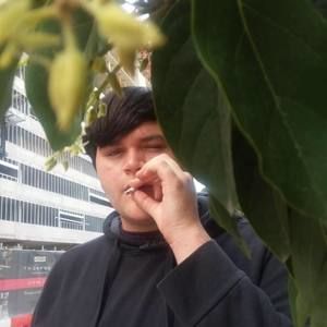 Meet your Posher, Rogelio